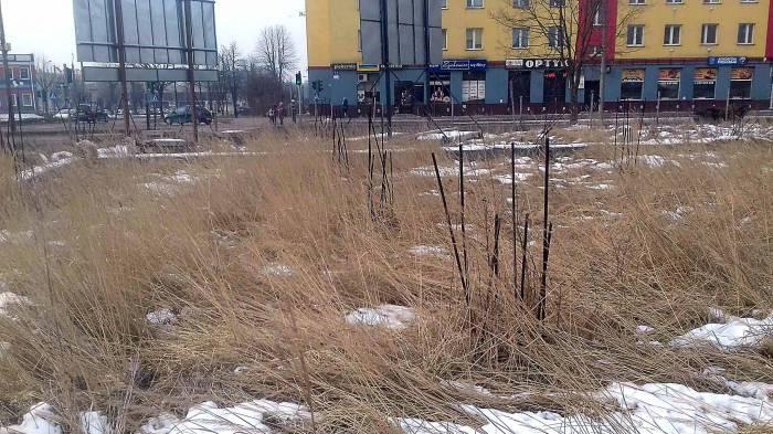 Interwencja w obiektywie