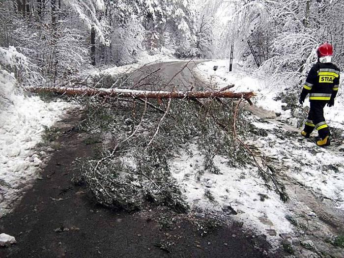 Interwencje skarżyskich strażaków po intensywnych opadach śniegu