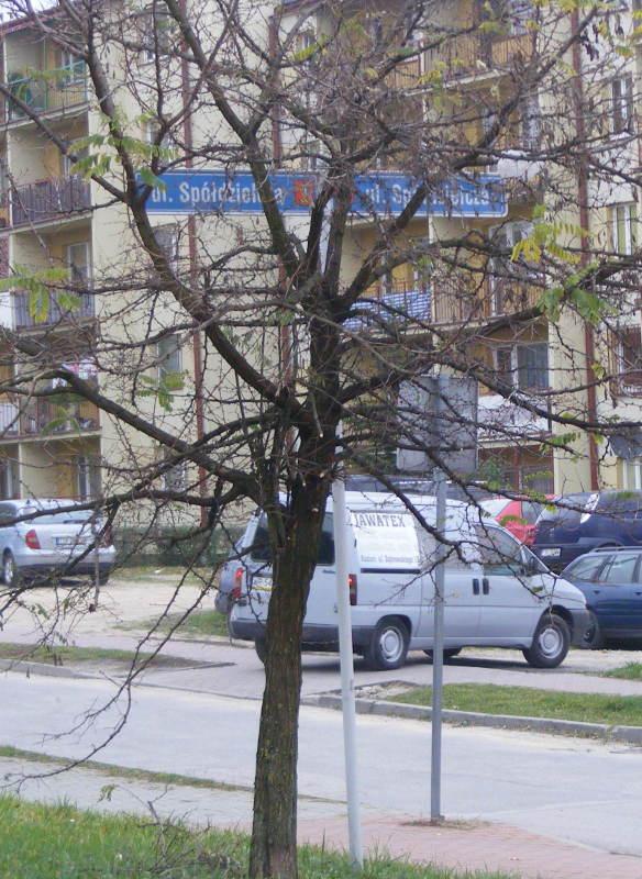 Piszą, dzwonią, mailują