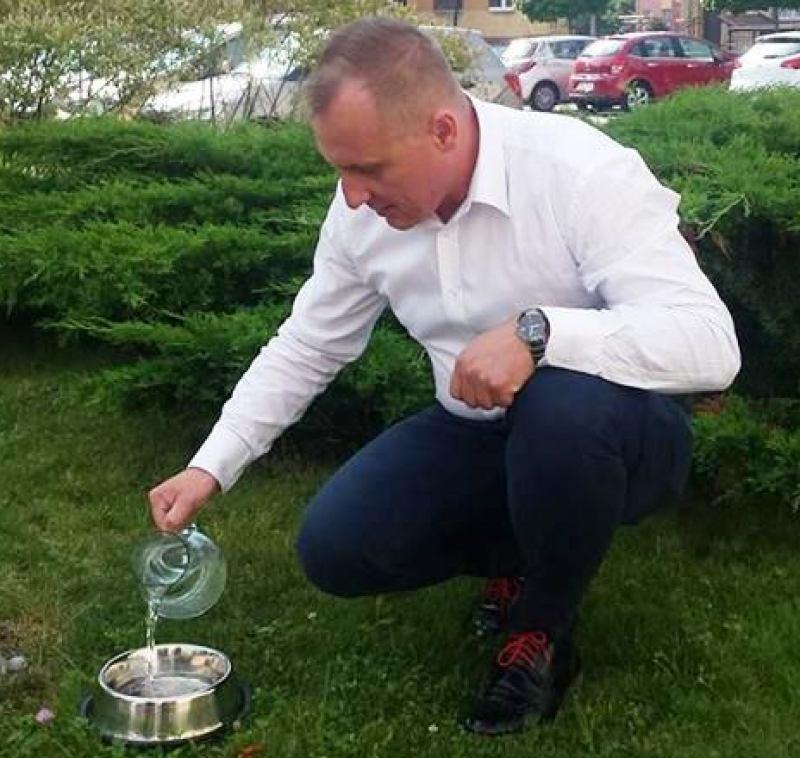 Z myślą o zwierzętach