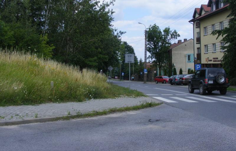 Interwencja w obiektywie