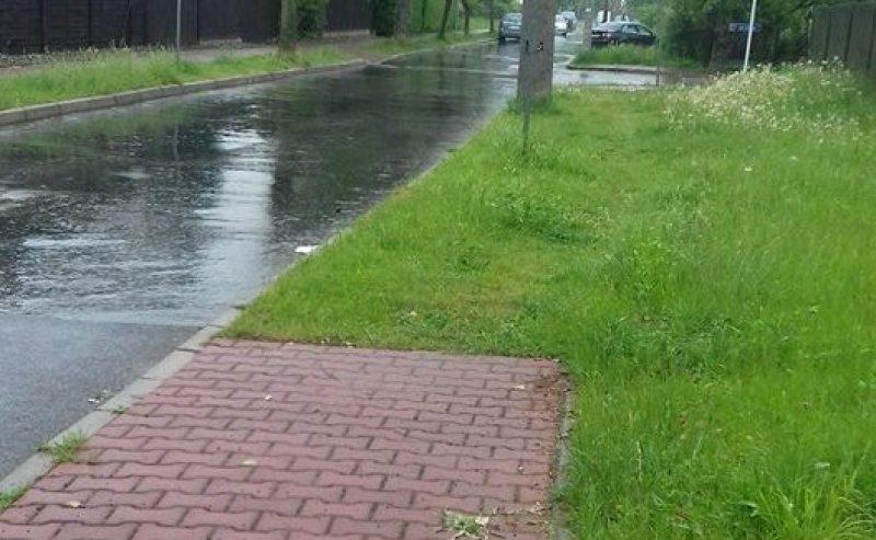 Piszą, dzwonią, mailują
