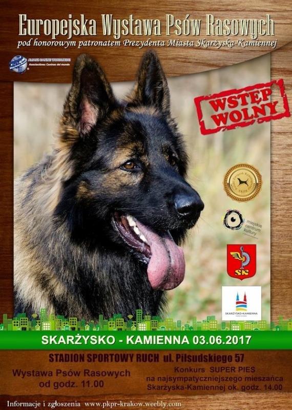 DNI MIASTA 2017 – ZAPRASZAMY DO WSPÓLNEGO ŚWIĘTOWANIA