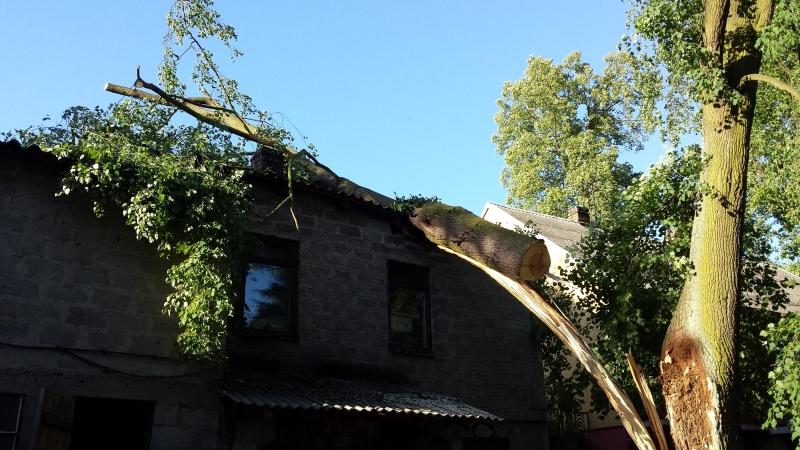 Powalone drzewa, połamane gałęzie