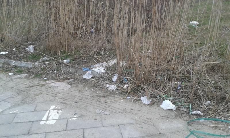 Zapomniany zakątek