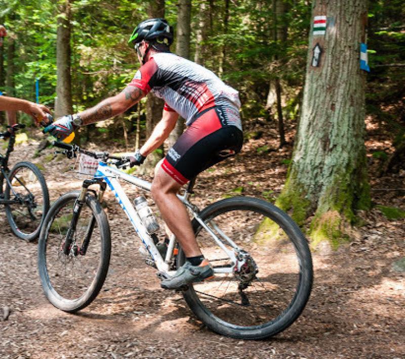 MTB wokół Dęba Bartka