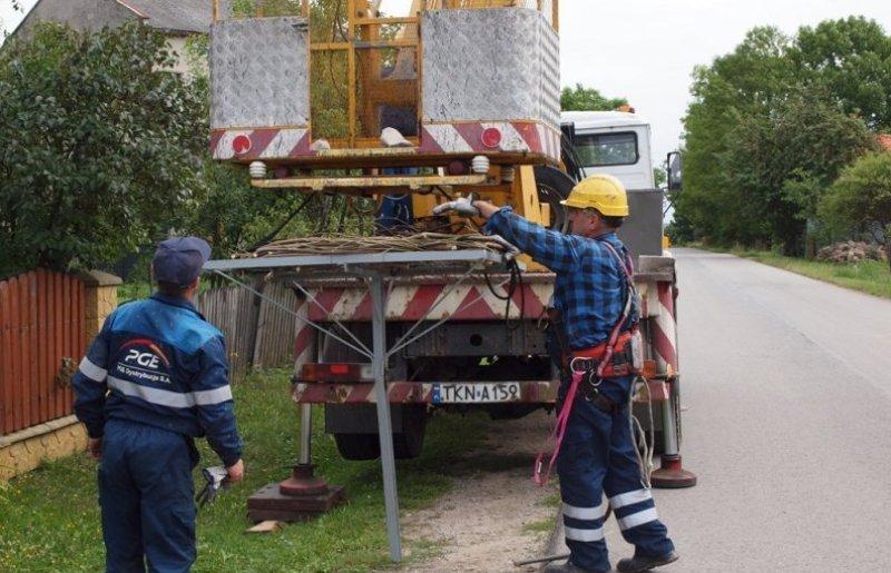 Bociany odzyskały gniazdo