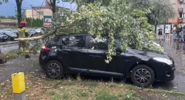 Burza z gradem nad Skarżyskiem-Kam. Drzewo przygniot…