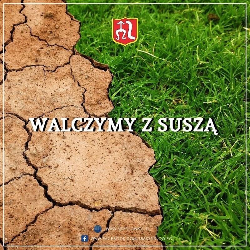 Walczymy z suszą. Kwietne łąki nad zalewem...