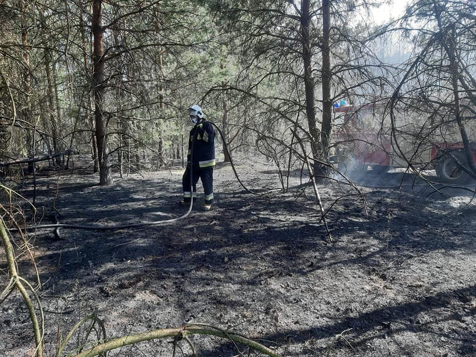 Wczoraj pięć pożarów - gasili strażacy i samolot