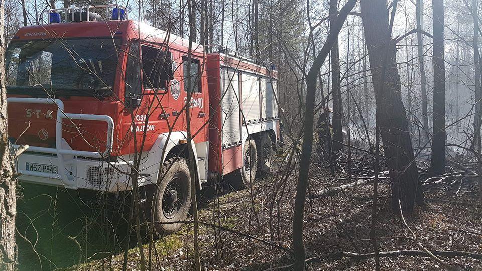 Wielki pożar lasu. Gasiło 46 strażaków