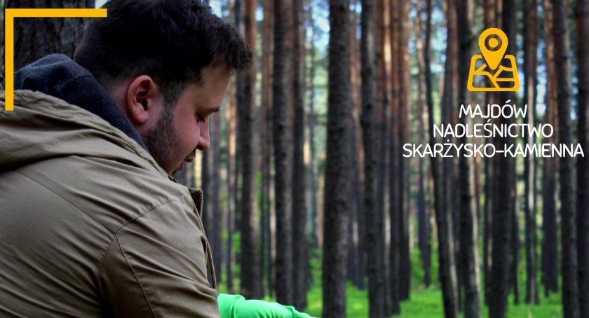 Z workiem na spacer