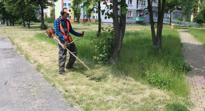 Koszą i porządkują - przez siedem dni w tygodniu!