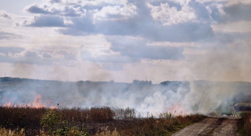 Rogów. Ogniowy alarm 