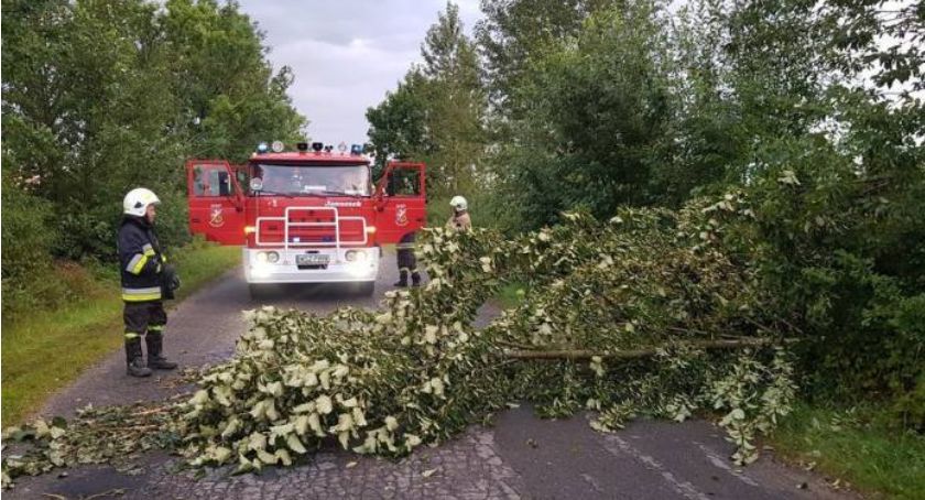 Wczorajsze straty. Drzewa blokowały drogi, zniszczony przez wichurę dach...