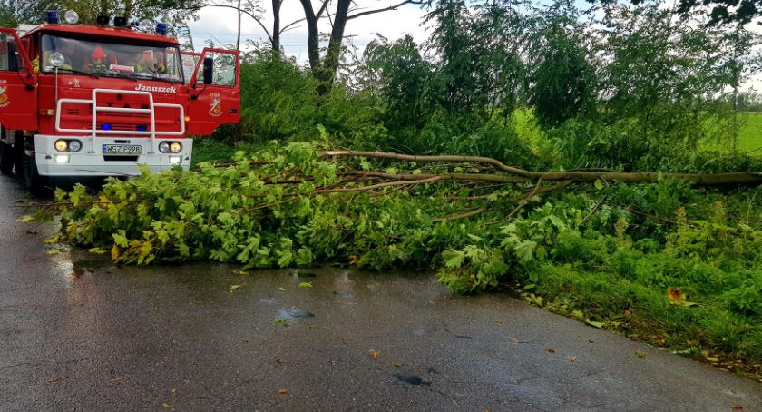 Straż pożarna. Tydzień pod znakiem wiatru