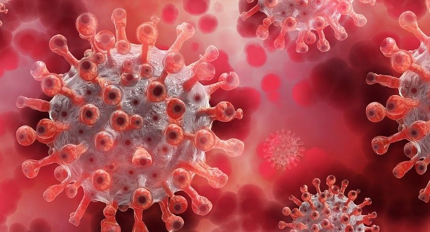 Epidemia trwa. Ale w powiecie szydłowieckim...