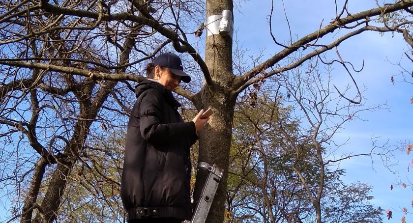 Orońsko. Poznają tajemnice solarigrafii. Fotograficzne eksperymenty - na drzewach