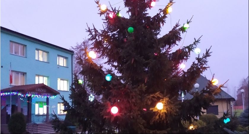 Mirów. Piękna choinka przed urzędem. Gmina dziękuje...
