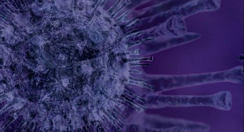 Epidemia. W powiecie, kraju, województwie