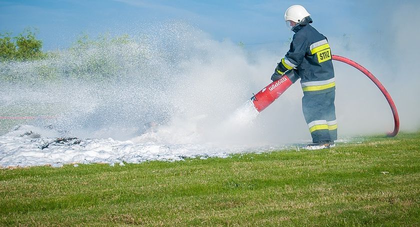 Zawsze można na nich liczyć!