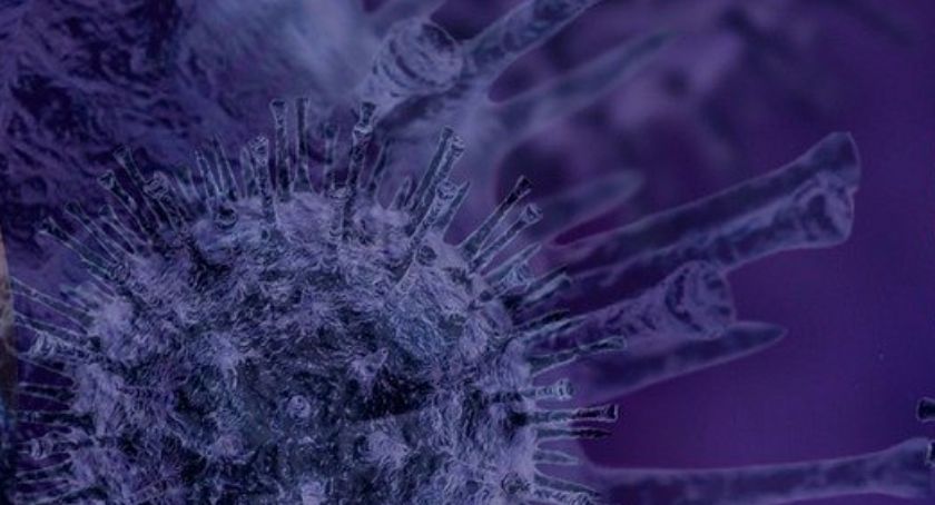 Epidemiologiczne obostrzenia przedłużone. Do szkół wracają dzieci