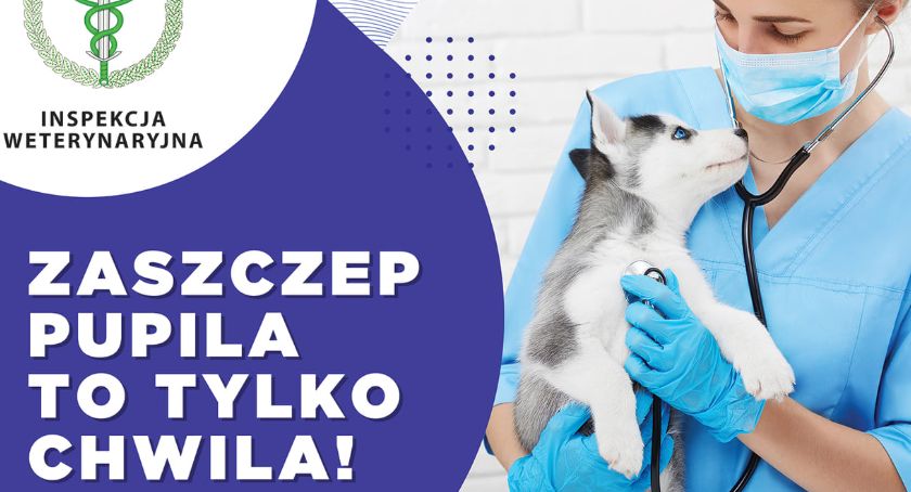 Zaszczep pupila! To tylko chwila!