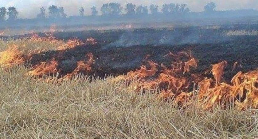 Szydłowieccy strażacy apelują: Nie wypalajcie traw!