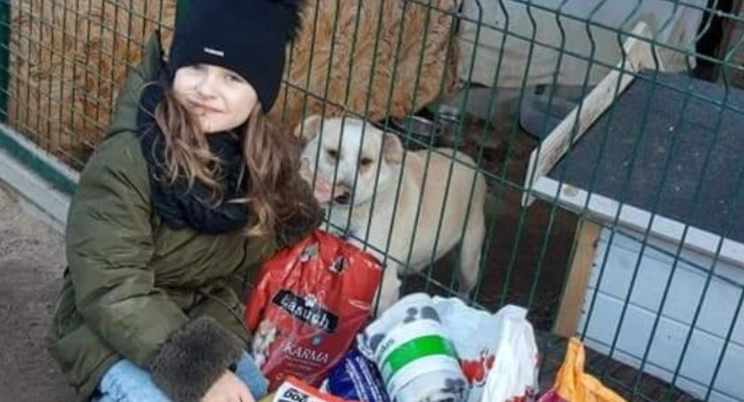 Wałsnów. Karma i inne smakołyki