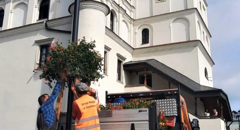 Szydłowiec. Miasto pełne kwiatów!