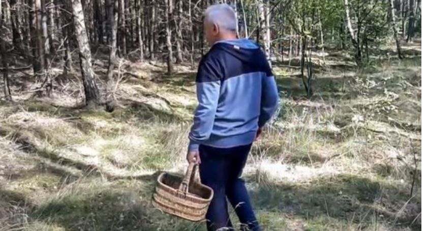 Policjanci apelują o rozwagę wśród grzybiarzy