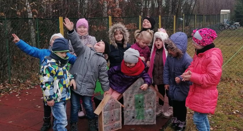 W Gąsawach jest hotel dla... owadów!