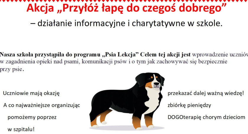 Charytatywna akcja w Cukrówce
