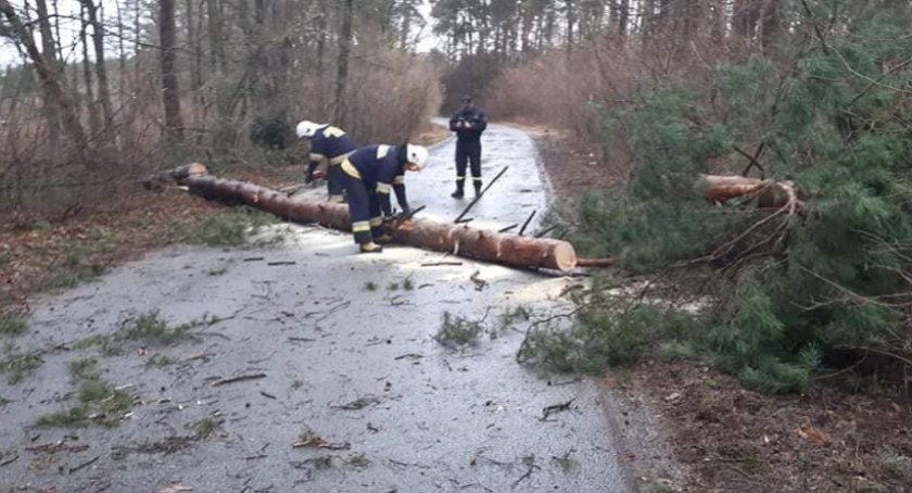Chałupki. Drzewo zatarasowało przejazd