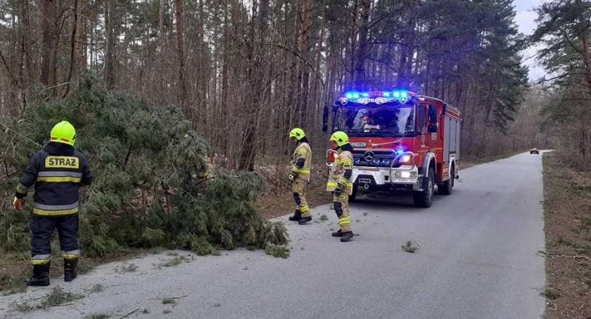Wichura szalała nad powiatem szydłowieckim! Gdzie interweniowali strażacy?