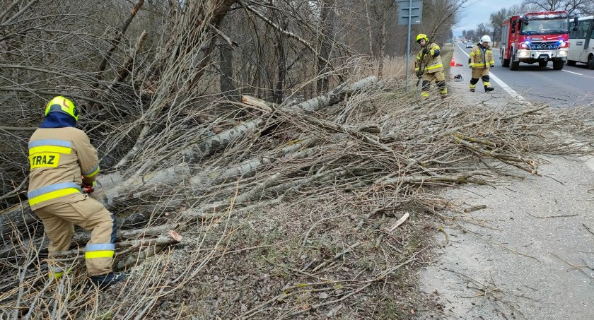 Orońsko. Zagrożenie na drodze