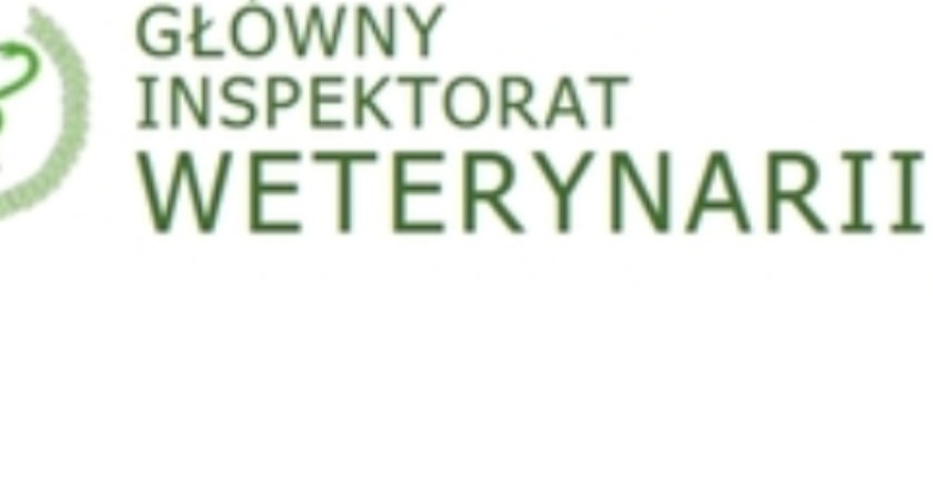 Zwierzęta z Ukrainy. Ważny komunikat Powiatowego Lekarza Weterynarii!