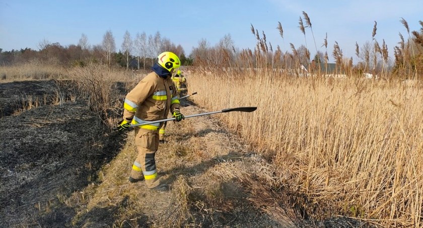 Płoną niemal codziennie! Kiedy się to skończy?
