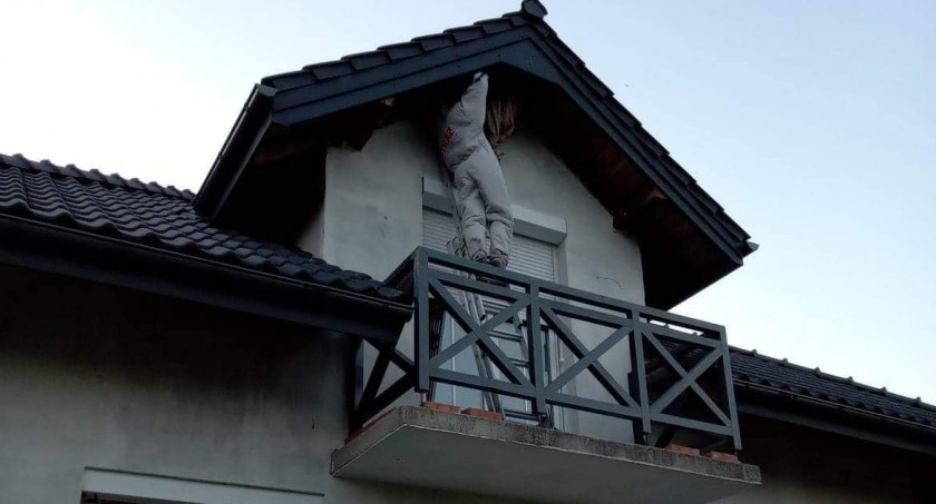 Szerszenie w Jastrzębiu