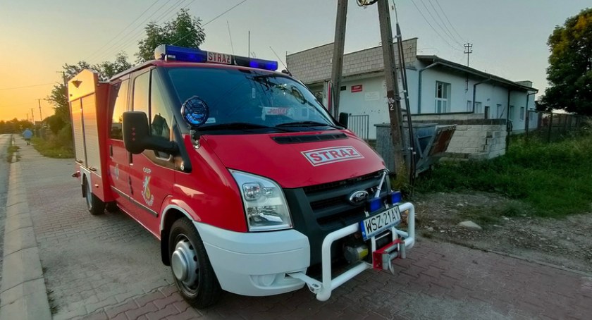 Szerszenie na terenie placu zabaw w Krogulczej. Do akcji wkroczyli strażacy