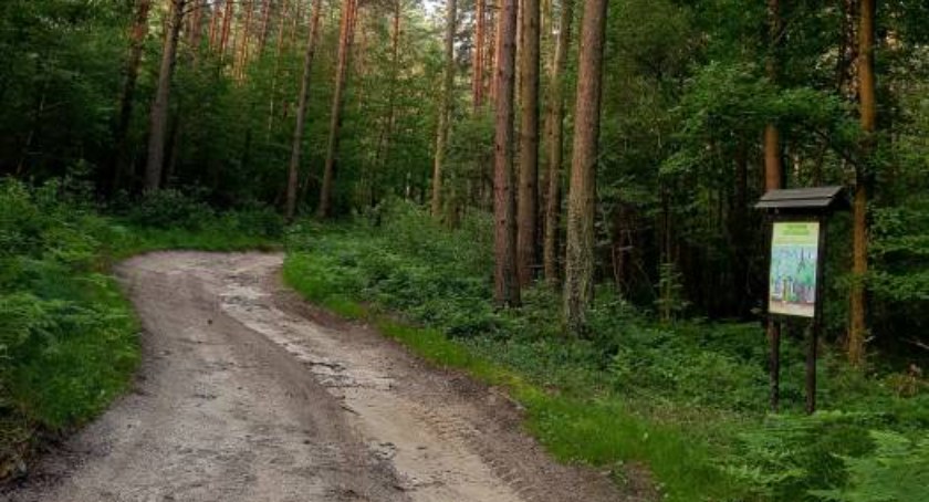 Odnalezieni grzybiarze napisali list do szydłowieckich policjantów. Co napisali?