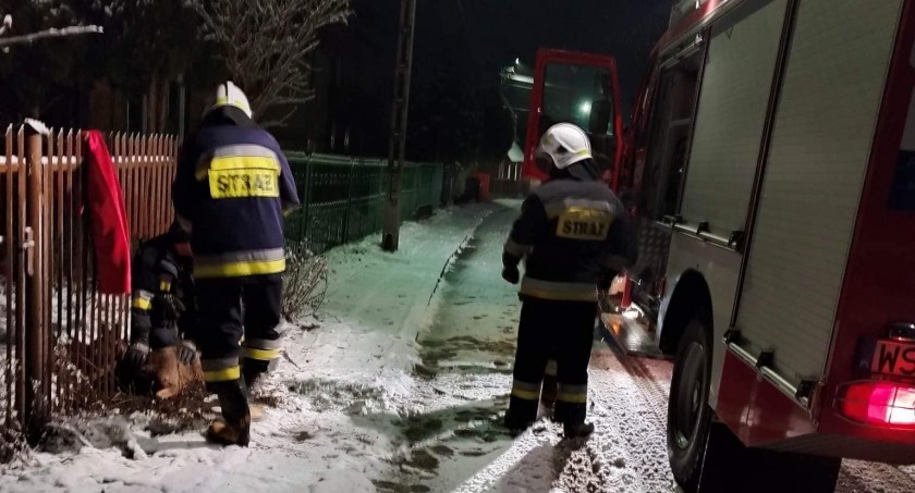 Strażacy z Jastrzębia pomagali sarence