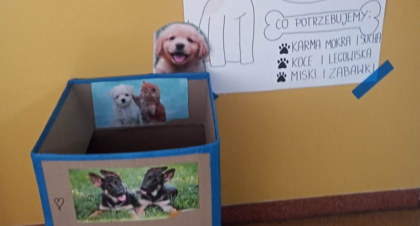Zbiórka karmy dla zwierząt w szkole w Mirowie