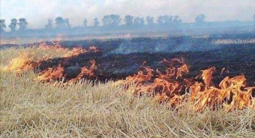 Bezustanna walka z ogniem: strażacy w akcji na różnych frontach w powiecie szydłowieckim