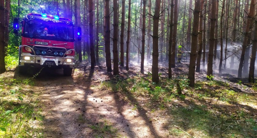 Skuteczne działania przeciwpożarowe PSK w Szydłowcu w miejscowości Helenów