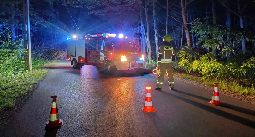 Drzewo niebezpiecznie oparte o linię elektryczną w Helenowie - Skuteczna akcja strażaków i podnośnika