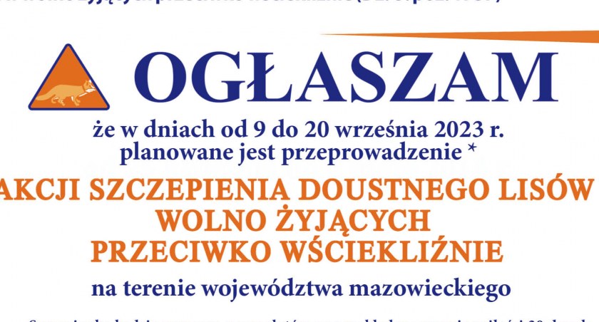 Akcja szczepienia lisów także na terenie powiatu szydłowieckiego!