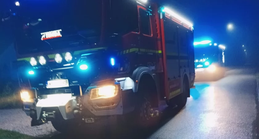 Pożar w Krogulczej Suchej. Strażacy wezwani na alarm