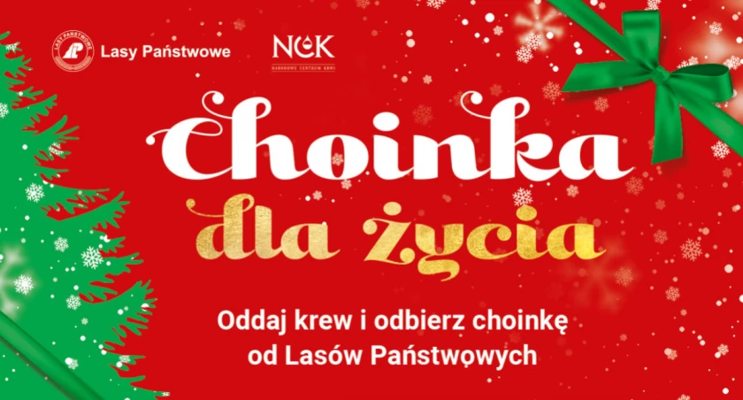 Choinka za krew, czyli akcja Lasów Państwowych w Chlewiskach