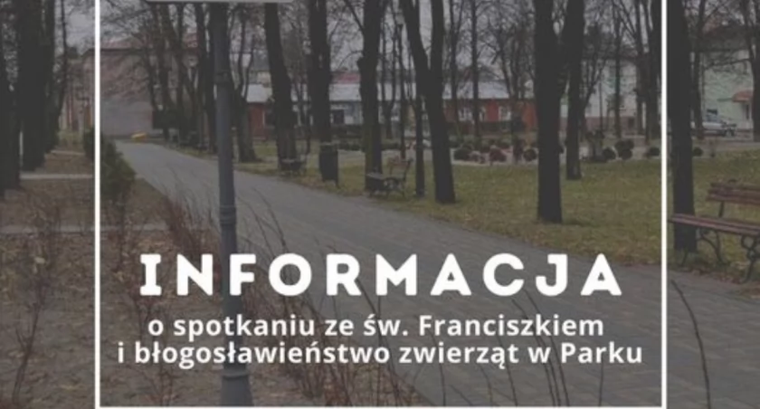 Uwaga! Ważne oświadczenie dotyczące szydłowieckiego Orszaku Trzech Króli z zwierzętami